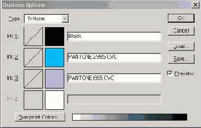   Adobe Photoshop 5.5